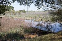 Campus Lakes